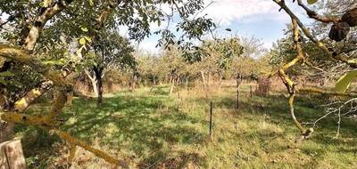 Terrain à Béruges en Vienne (86) de 985 m² à vendre au prix de 62700€ - 4
