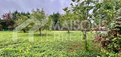 Terrain et maison à Mazamet en Tarn (81) de 1000 m² à vendre au prix de 191800€ - 3