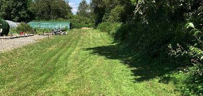 Terrain à La Souterraine en Creuse (23) de 9774 m² à vendre au prix de 99000€ - 1