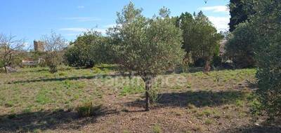 Terrain à Azille en Aude (11) de 2310 m² à vendre au prix de 163000€ - 2