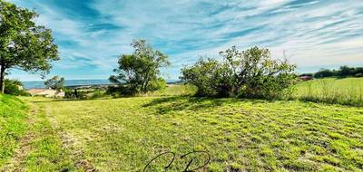 Terrain à Laurac en Aude (11) de 2400 m² à vendre au prix de 75000€ - 3