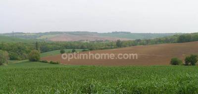Terrain à Lévignac en Haute-Garonne (31) de 2500 m² à vendre au prix de 137000€ - 4