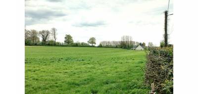 Terrain à Ruisseauville en Pas-de-Calais (62) de 986 m² à vendre au prix de 23720€ - 3