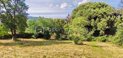 Terrain à Cuttoli-Corticchiato en Corse-du-Sud (2A) de 2862 m² à vendre au prix de 230000€ - 1