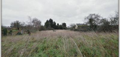 Terrain à Les Rairies en Maine-et-Loire (49) de 3241 m² à vendre au prix de 46900€ - 2