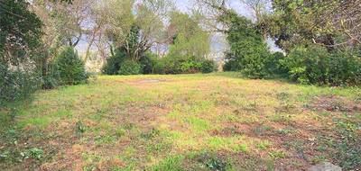 Terrain à Montélimar en Drôme (26) de 2000 m² à vendre au prix de 300000€ - 1
