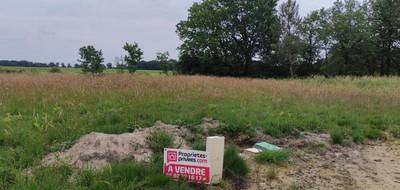 Terrain à Ygos-Saint-Saturnin en Landes (40) de 1217 m² à vendre au prix de 44585€ - 1