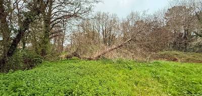 Terrain à Grayan-et-l'Hôpital en Gironde (33) de 7905 m² à vendre au prix de 149990€ - 3