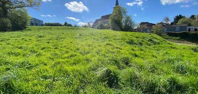 Terrain à Matringhem en Pas-de-Calais (62) de 3395 m² à vendre au prix de 92000€ - 4