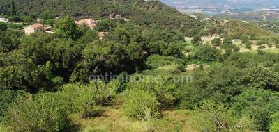 Terrain à Oletta en Haute-Corse (2B) de 3218 m² à vendre au prix de 280000€ - 2
