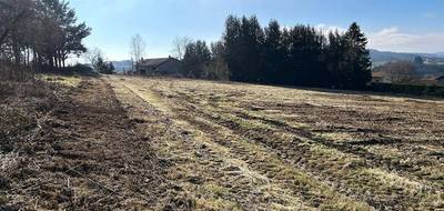 Terrain à Violay en Loire (42) de 865 m² à vendre au prix de 85000€ - 4
