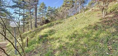 Terrain à Château-Bernard en Isère (38) de 670 m² à vendre au prix de 66000€ - 4