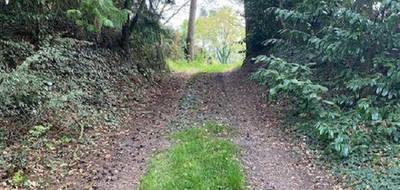 Terrain à Molac en Morbihan (56) de 2530 m² à vendre au prix de 128000€ - 3