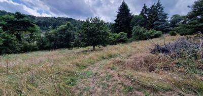 Terrain à Montbrison en Loire (42) de 1271 m² à vendre au prix de 79500€ - 2