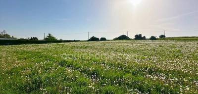 Terrain à Fonsomme en Aisne (02) de 4834 m² à vendre au prix de 85000€ - 3