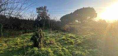 Terrain à Saint-Michel-en-l'Herm en Vendée (85) de 2000 m² à vendre au prix de 104500€ - 2