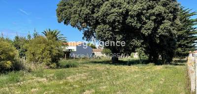 Terrain à Saint-Pierre-d'Oléron en Charente-Maritime (17) de 2315 m² à vendre au prix de 439000€ - 1