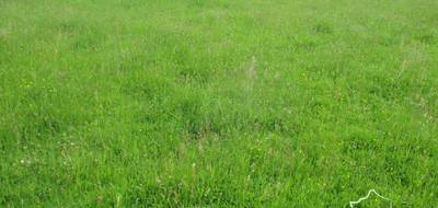 Terrain à Proissans en Dordogne (24) de 1100 m² à vendre au prix de 39000€ - 3