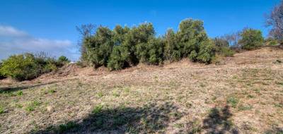 Terrain à Caunes-Minervois en Aude (11) de 1600 m² à vendre au prix de 78000€ - 2