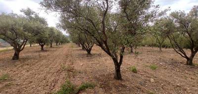 Terrain à Pézenas en Hérault (34) de 7000 m² à vendre au prix de 29000€ - 1