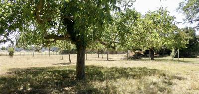 Terrain à Sainte-Gemme-la-Plaine en Vendée (85) de 1000 m² à vendre au prix de 49000€ - 1