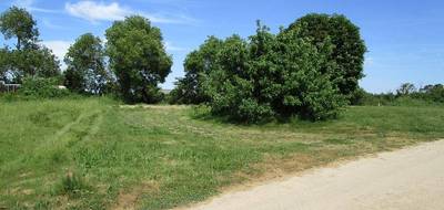 Terrain à La Jonchère en Vendée (85) de 681 m² à vendre au prix de 84586€ - 1