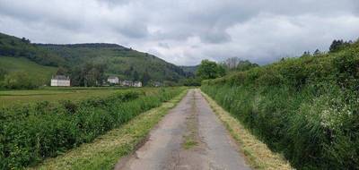 Terrain à Lucenay-l'Évêque en Saône-et-Loire (71) de 10000 m² à vendre au prix de 77000€ - 3