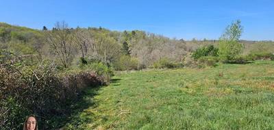 Terrain à Noailles en Corrèze (19) de 3000 m² à vendre au prix de 34990€ - 3