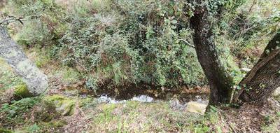 Terrain à Collobrières en Var (83) de 41460 m² à vendre au prix de 34000€ - 4