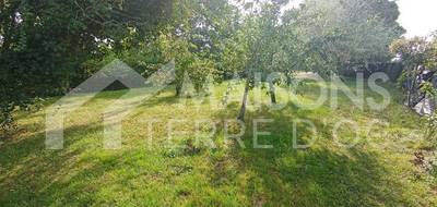 Terrain et maison à Cambon en Tarn (81) de 580 m² à vendre au prix de 246115€ - 2