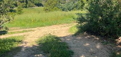 Terrain à Aléria en Haute-Corse (2B) de 1490 m² à vendre au prix de 165000€ - 3