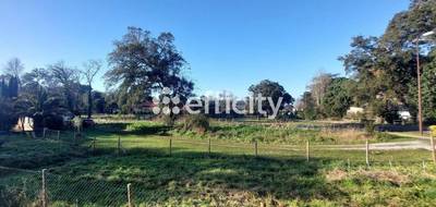 Terrain à Moliets-et-Maa en Landes (40) de 500 m² à vendre au prix de 208000€ - 4