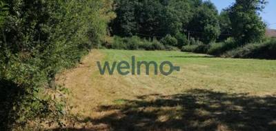 Terrain à Montluçon en Allier (03) de 4786 m² à vendre au prix de 48000€ - 4