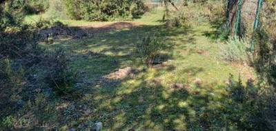 Terrain à Le Cannet-des-Maures en Var (83) de 0 m² à vendre au prix de 146790€ - 1