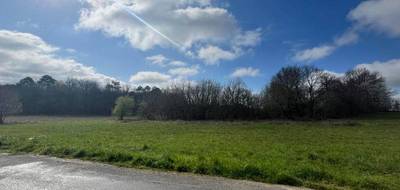 Terrain à Paussac-et-Saint-Vivien en Dordogne (24) de 2543 m² à vendre au prix de 29500€ - 4