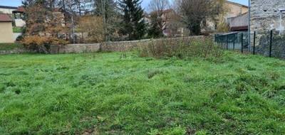 Terrain à Beauzac en Haute-Loire (43) de 850 m² à vendre au prix de 44000€ - 3