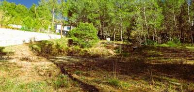 Terrain à Pourrières en Var (83) de 1668 m² à vendre au prix de 242000€ - 4