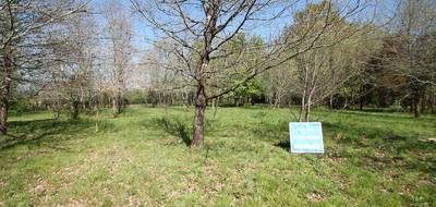 Terrain à Casteljaloux en Lot-et-Garonne (47) de 1029 m² à vendre au prix de 39000€ - 1