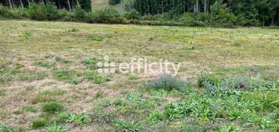 Terrain à La Monnerie-le-Montel en Puy-de-Dôme (63) de 1181 m² à vendre au prix de 7795€ - 1