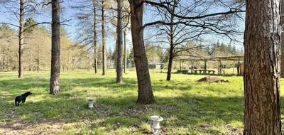 Terrain à Tigy en Loiret (45) de 6260 m² à vendre au prix de 105000€ - 4