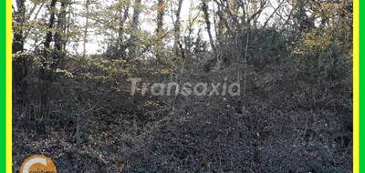 Terrain à Lunery en Cher (18) de 0 m² à vendre au prix de 15000€ - 1