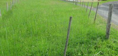 Terrain à Proissans en Dordogne (24) de 1100 m² à vendre au prix de 39000€ - 4