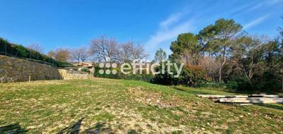Terrain à Opio en Alpes-Maritimes (06) de 5450 m² à vendre au prix de 419000€ - 3