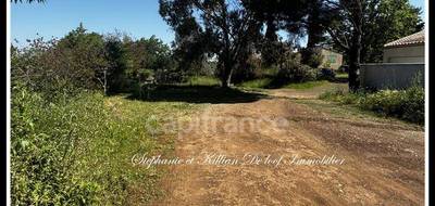 Terrain à Saint-Thibéry en Hérault (34) de 450 m² à vendre au prix de 127200€ - 1