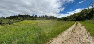 Terrain à Quenne en Yonne (89) de 4097 m² à vendre au prix de 19000€ - 3