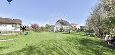 Terrain à Neuwiller en Haut-Rhin (68) de 729 m² à vendre au prix de 159000€ - 2