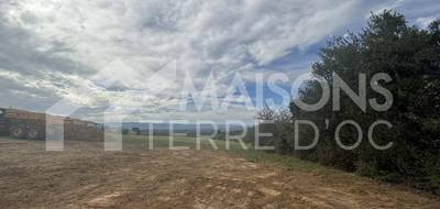 Terrain et maison à Castres en Tarn (81) de 960 m² à vendre au prix de 206800€ - 2