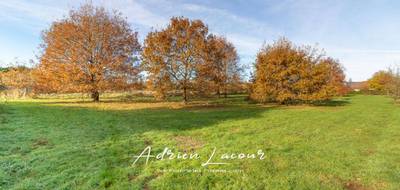 Terrain à Romorantin-Lanthenay en Loir-et-Cher (41) de 4077 m² à vendre au prix de 54990€ - 2