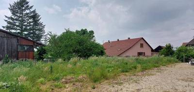 Terrain et maison à Galfingue en Haut-Rhin (68) de 442 m² à vendre au prix de 299700€ - 3