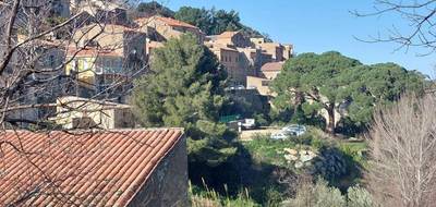Terrain à Ville-di-Paraso en Haute-Corse (2B) de 1100 m² à vendre au prix de 90650€ - 3